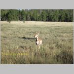 20060820_19BryceCanyon_016 copia.jpg